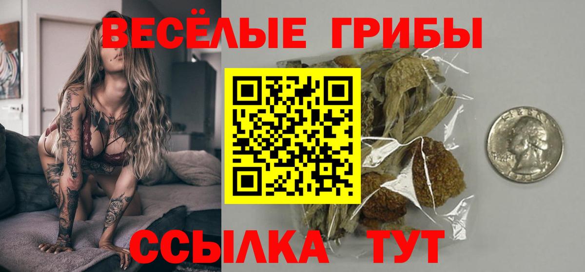 Псилоцибиновые грибы MAGIC MUSHROOMS Чистополь