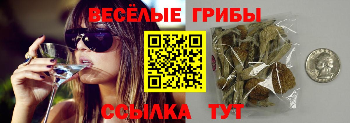 продажа наркотиков  Галлюциногенные грибы мухоморы  Вход с VPN  Чистополь 